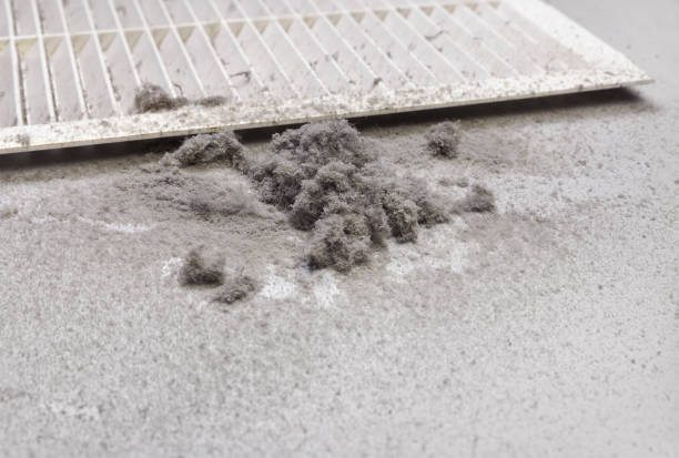 Best Air Duct Cleaning Company Near Me  in Absecon Highlands, NJ