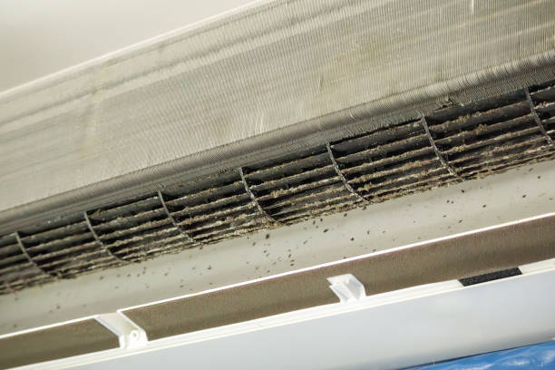 Best Affordable HVAC Duct Cleaning  in Absecon Highlands, NJ